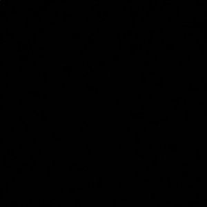 Meet your Posher, Damari